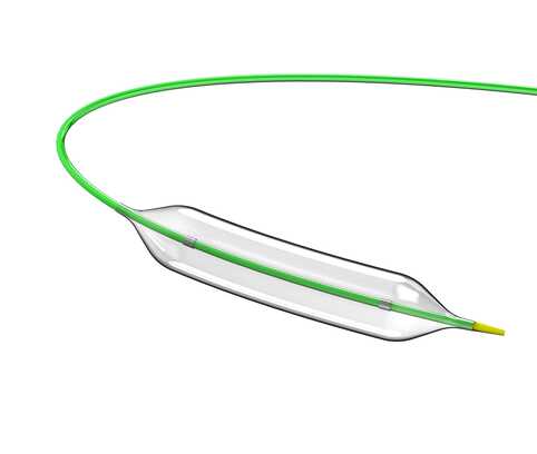 Vecchio NC Balloon Dilatation Catheter MDD ver.