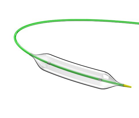 Vecchio NC Balloon Dilatation Catheter MDR ver.